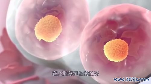 做试管婴儿女人痛苦吗