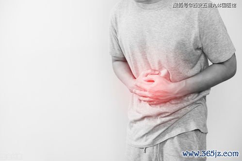 慢性胃炎食谱：三餐怎么安排，胃不难受？