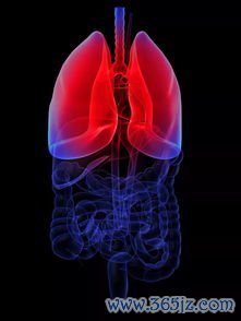 升降,浮沉,怎么,中药,药性