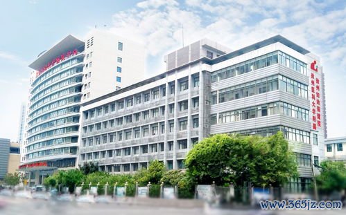 大兴区妇幼保健院服务：大兴区妇幼保健院与北京市仁和医院妇产科协作