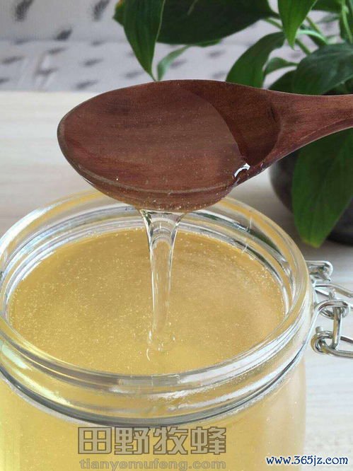 蜂蜜白醋减肥正确方法，比例不对等于白喝