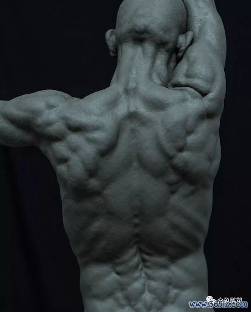 多肌炎：肌肉无力，大腿肩膀抬不起