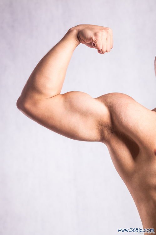 多肌炎：肌肉无力，大腿肩膀抬不起