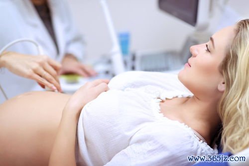 做试管婴儿好多费用