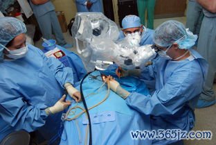 做试管婴儿得多久