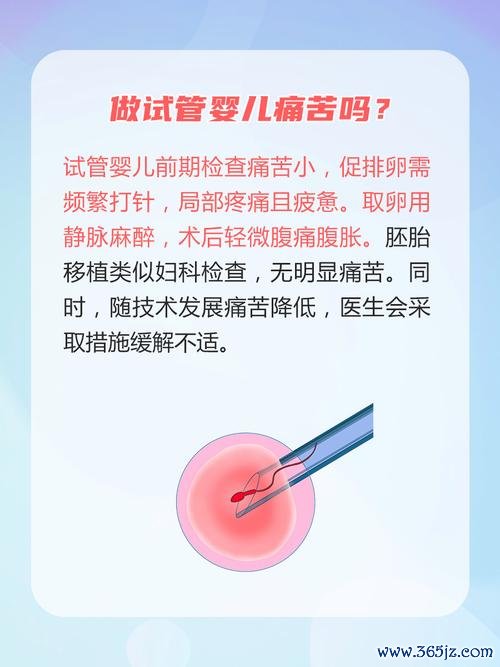 做试管婴儿很痛苦吗
