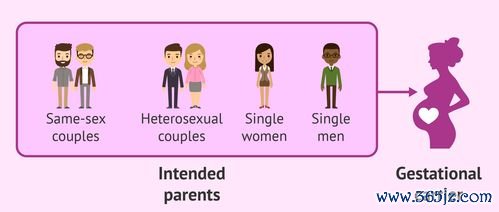 做试管婴儿得多长时间