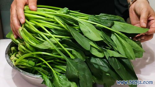 控糖食谱一日三餐照着吃血糖稳一天