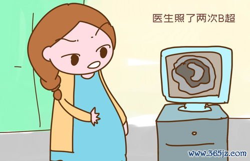 孕妇保健知识科普：孕妇保健与孕期产检营养运动全程指导