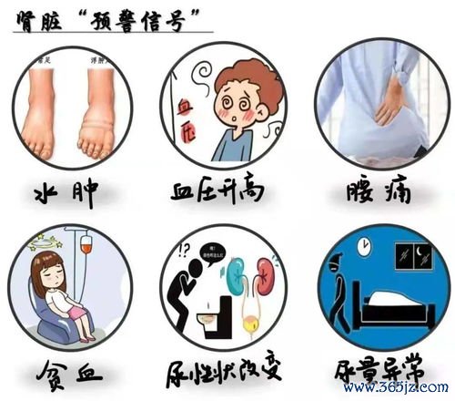 少尿：一天尿量少于400ml——肾出大事了