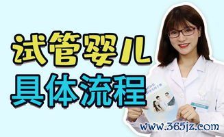 做试管婴儿流程图