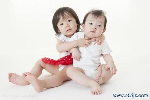 做试管婴儿流程图