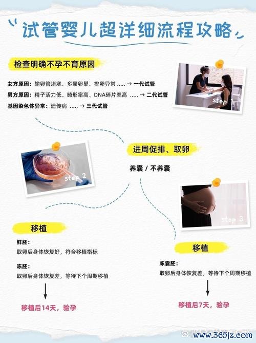 试管婴儿,流程图