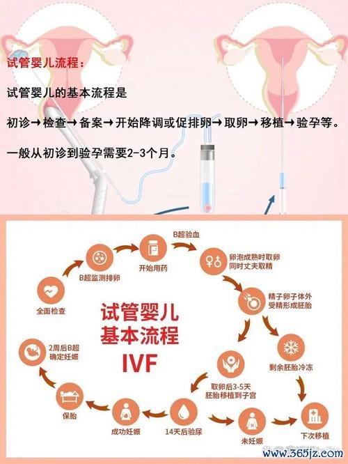 做试管婴儿流程，保定做试管多少钱