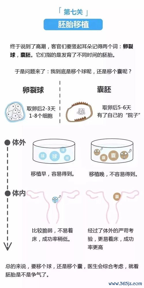 做试管婴儿流程，保定做试管多少钱