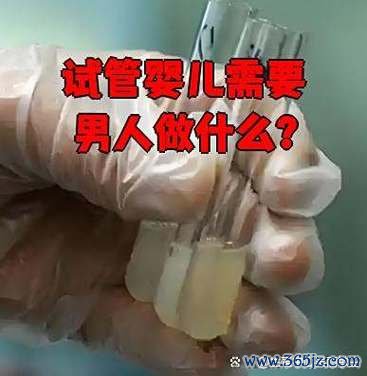 做试管婴儿男人