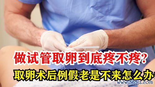 做试管婴儿疼吗