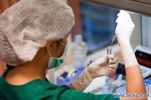 做试管婴儿痛苦吗