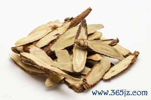 芳香,挥发,薄荷,砂仁,钩藤