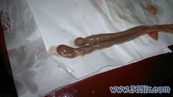 尘肺：吸了太多粉尘肺变硬，职业病得防护