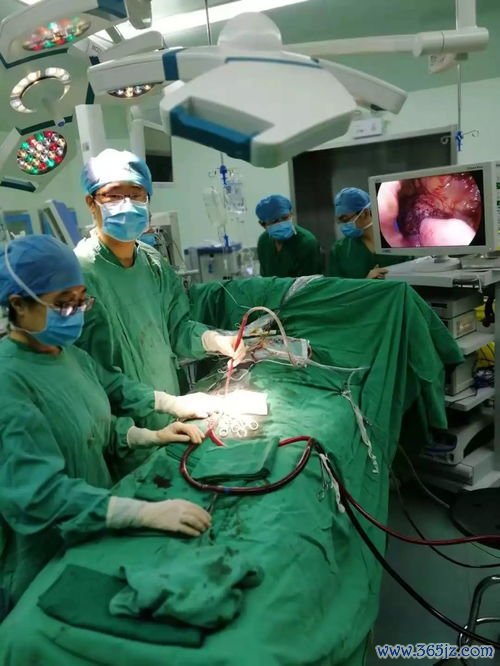 尿道下裂成形术：重建尿道