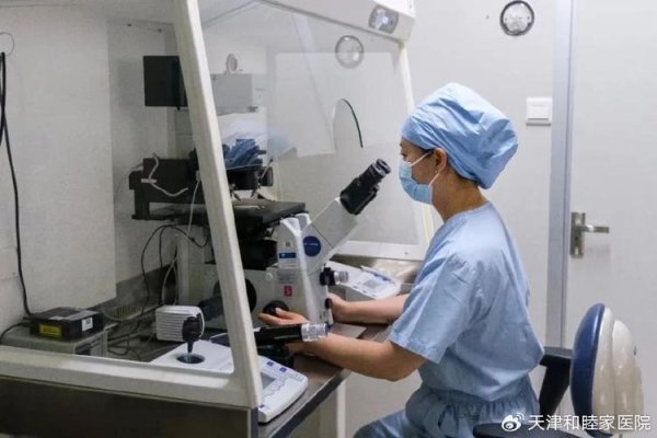 试管婴儿,中心