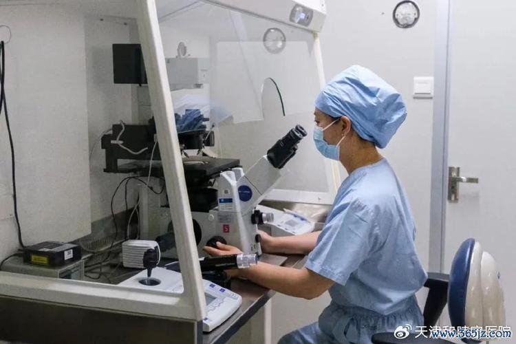 做试管婴儿的中心