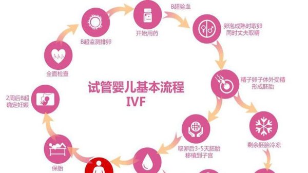 试管婴儿,全部,流程,视频