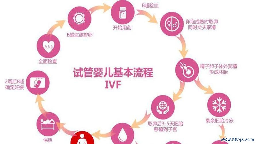做试管婴儿的全部流程视频
