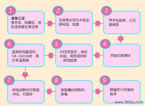 做试管婴儿的全部流程费用