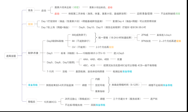 试管婴儿,全过程