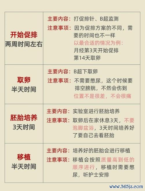 做试管婴儿的全过程