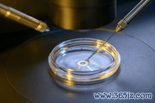 做试管婴儿的全部流程，试管和自然受孕的区别