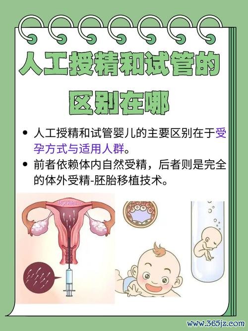 做试管婴儿的全部流程和时间，人工授精和试管区别