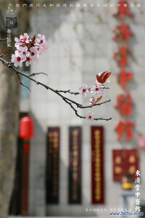 春分吃什么养生，阴阳平衡身体好