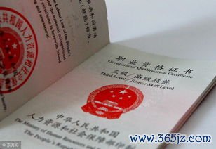 同病,异治,不同,异病,同治