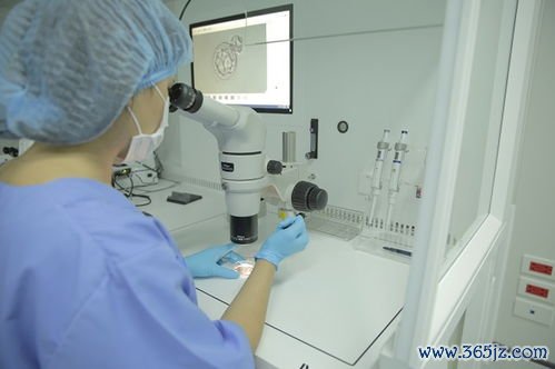 做试管婴儿的具体步骤