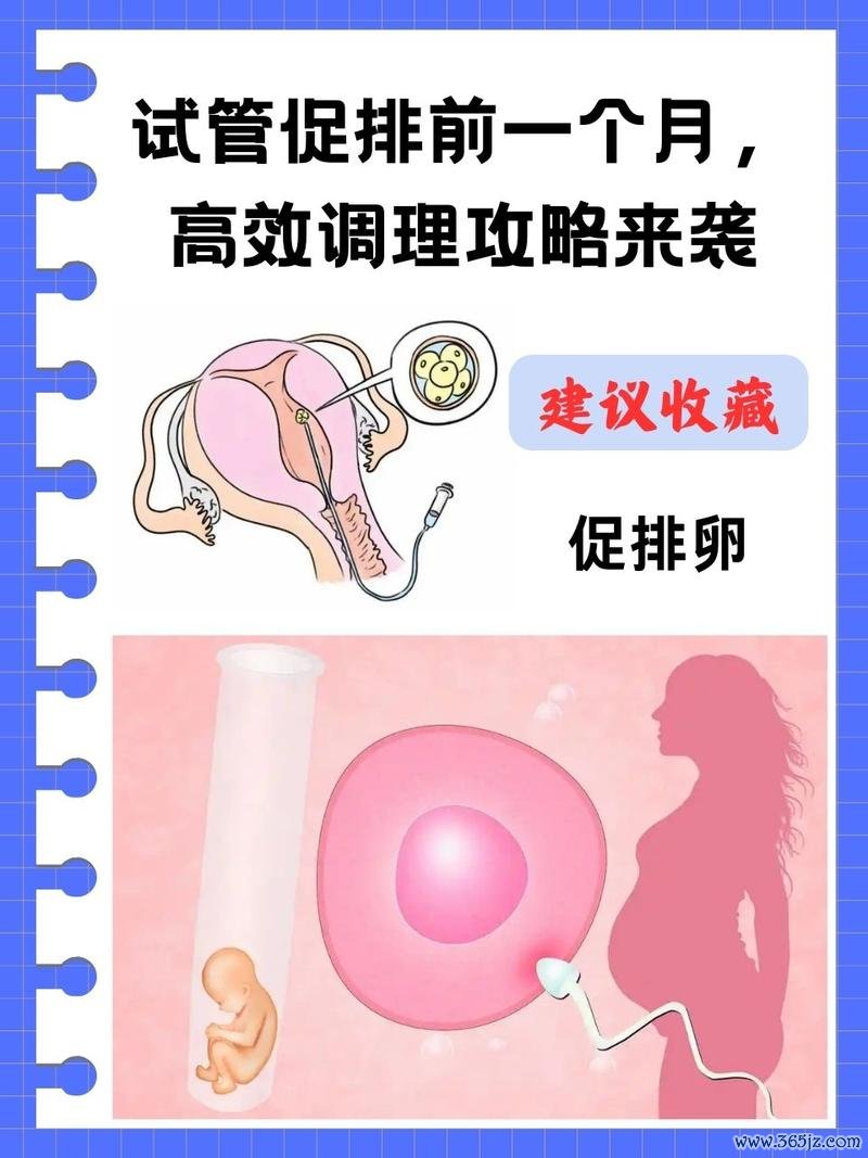 做试管婴儿的办法