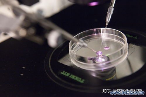 做试管婴儿的危害，试管婴儿要带什么证件