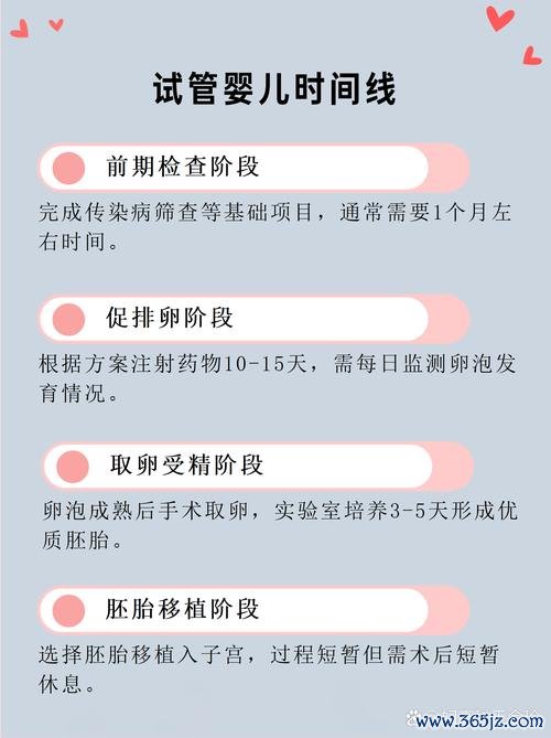 做试管婴儿的周期