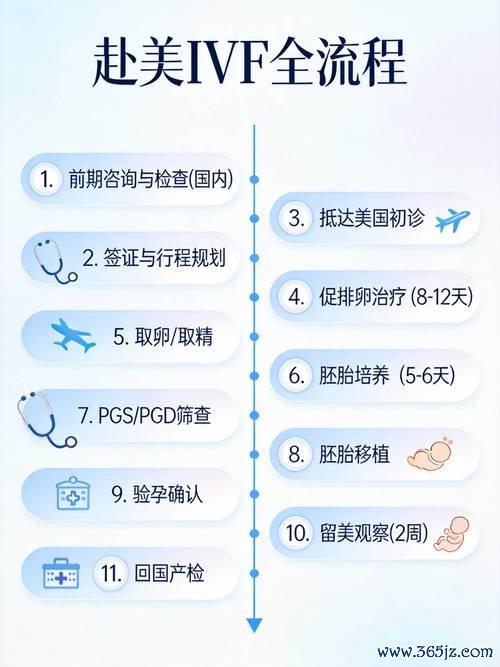 做试管婴儿的周期