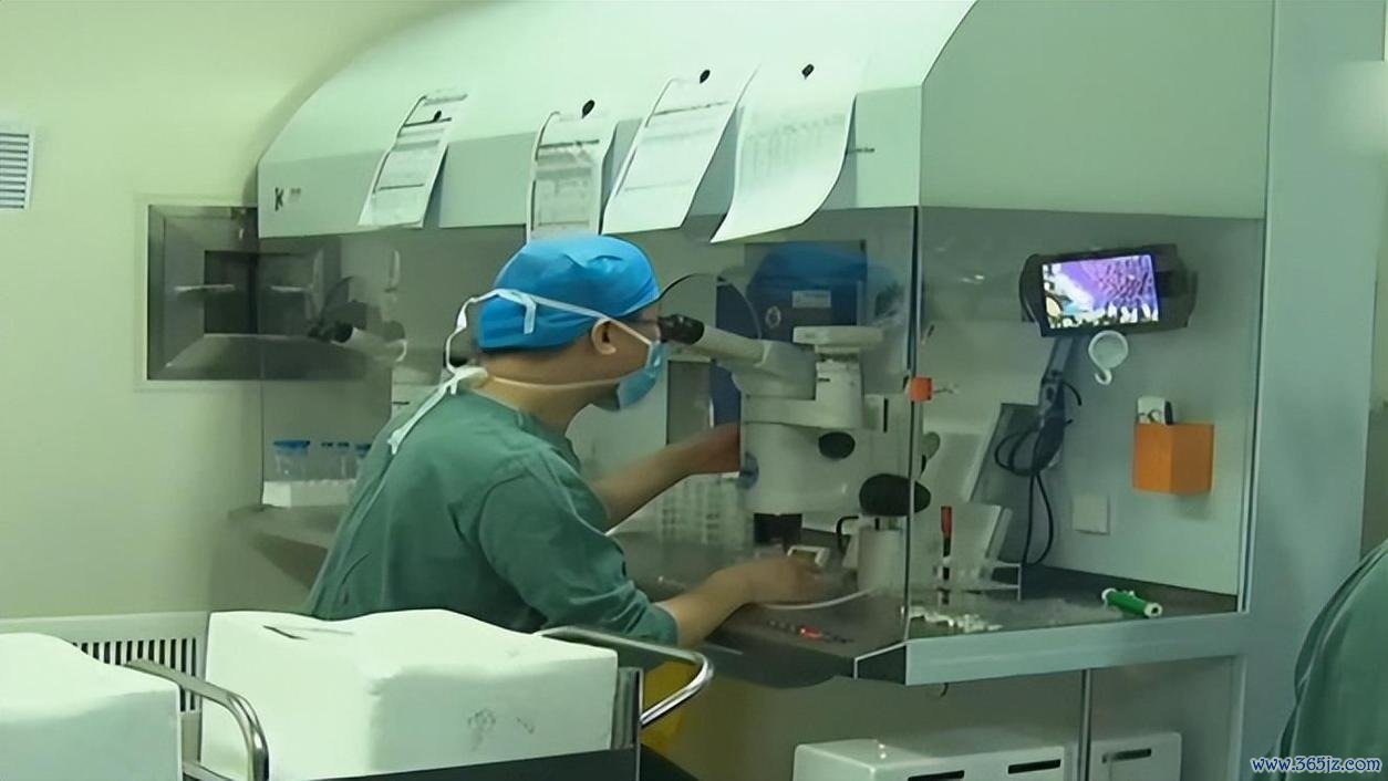 做试管婴儿的地方