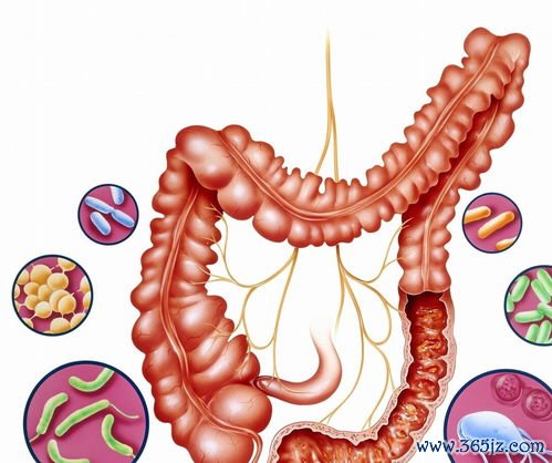 服用抗生素的人这种奶制品要少吃，影响药效