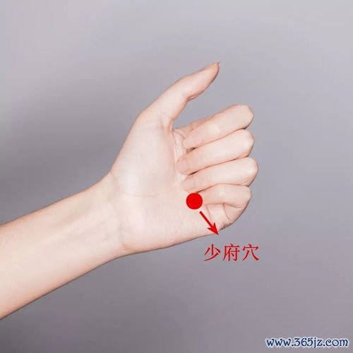 咳血方清肝火，肝火犯肺咳血证