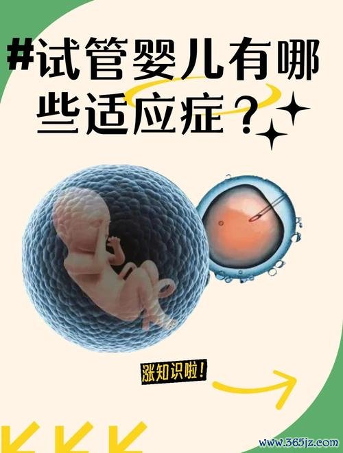做试管婴儿的多少钱