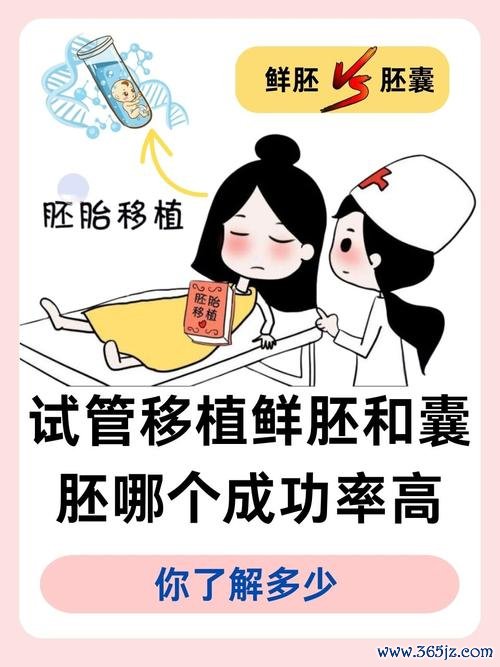 做试管婴儿的哪家好