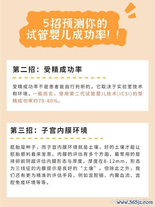 做试管婴儿的成功率多少