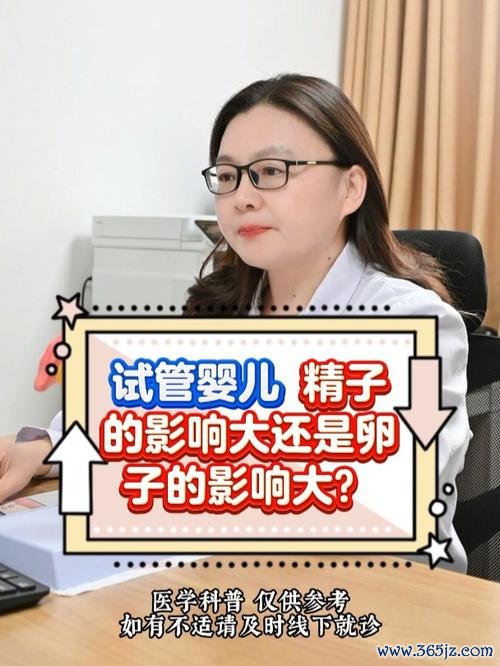 做试管婴儿的影响