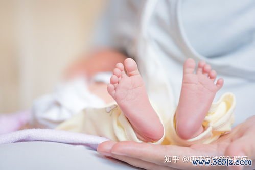 做试管婴儿的成功率有多大