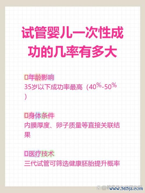 做试管婴儿的成功率有多大